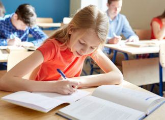 3 políticas públicas curiosas y exitosas en Europa Educacion