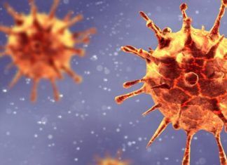 Conspiración COVID-19, la novela de 1981 que predijo la pandemia Teorías Conspirativas 2