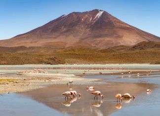 Los países y sus curiosidades