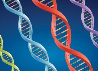 Curiosidades científicas poco conocidas