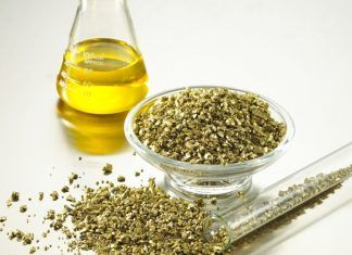 Sorprendentes eventos de la historia