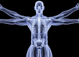 Curiosidades sobre el cuerpo humano que no sabías.