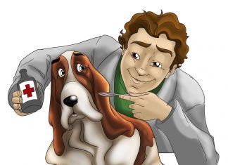 Recursos para veterinarios: fármacos para perros