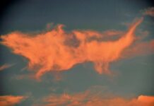 Ilusiones ópticas: 8 ejemplos y por qué engañan a la vista Nube al atardecer con una forma que recuerda a un animal