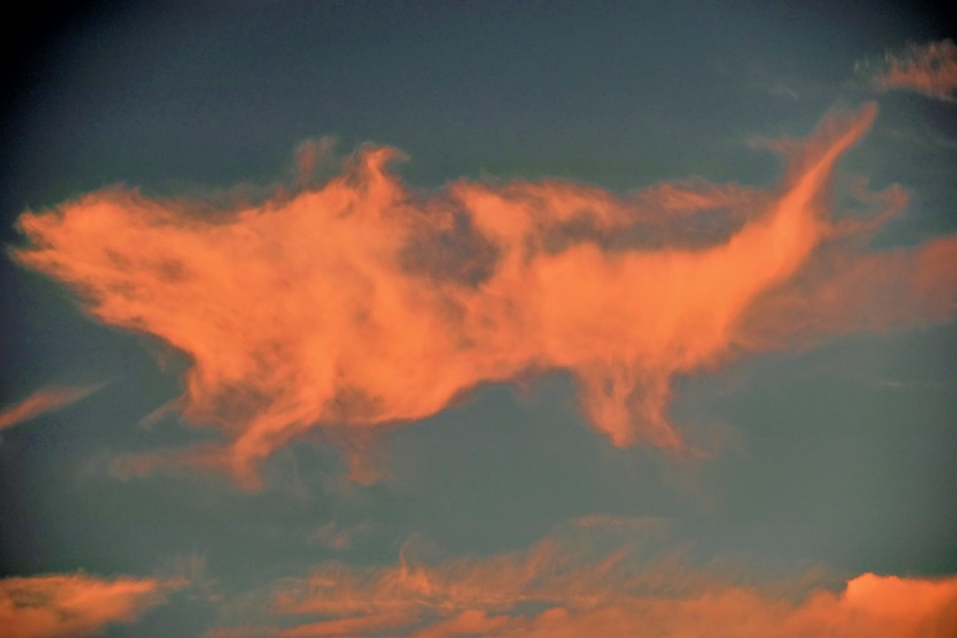 Nube al atardecer con una forma que recuerda a un animal