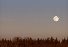 Por qué la Luna parece enorme cuando está cerca del horizonte Luna llena sobre bosque al anochecer
